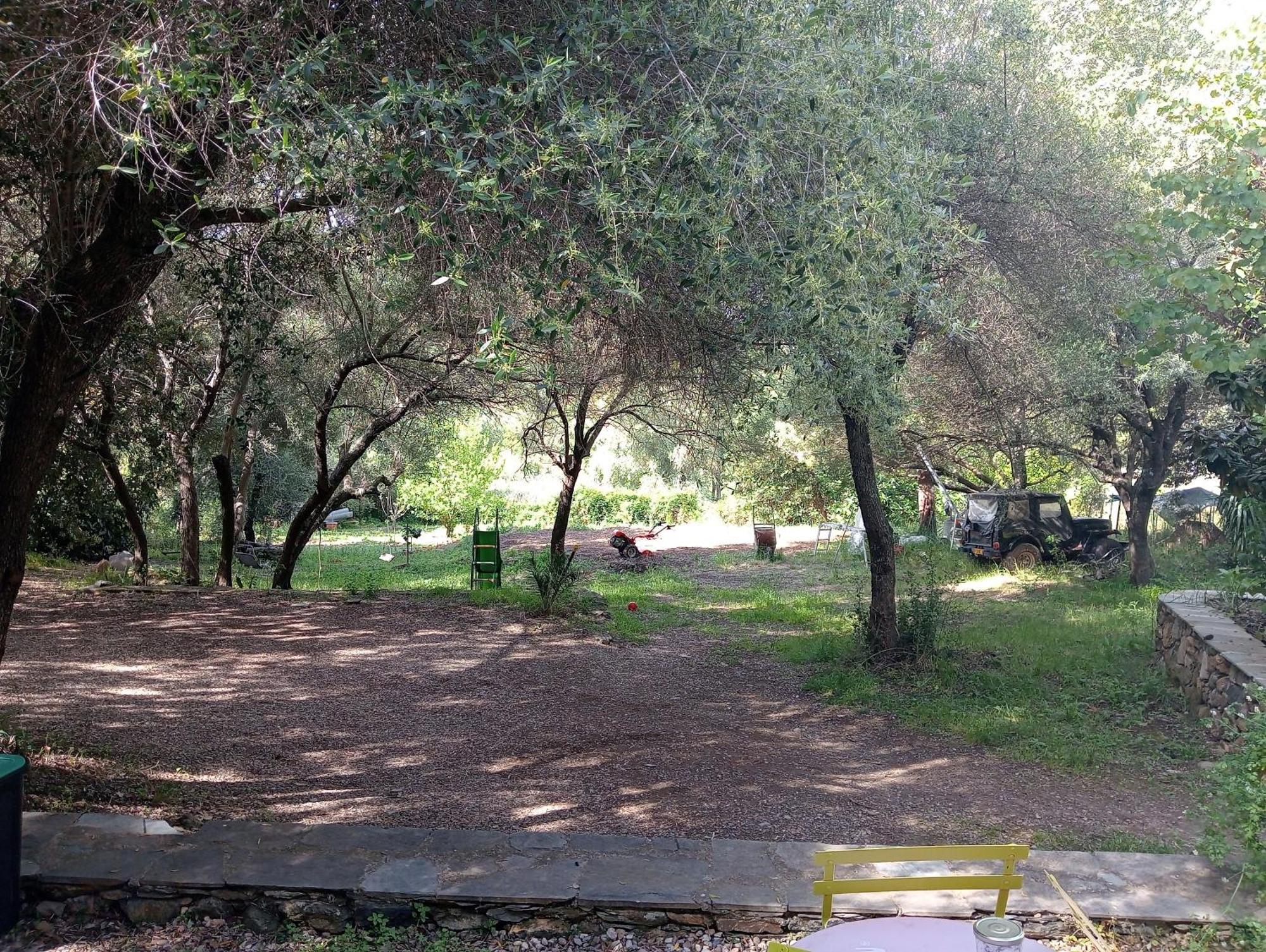 Berbi Rosse Hotel Oletta  Bagian luar foto